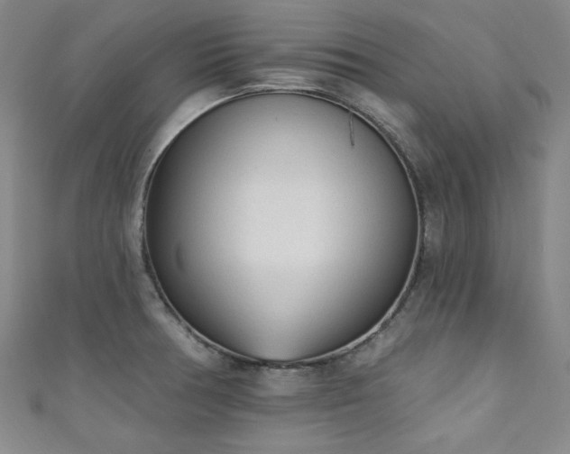 X0000111131378200906301201