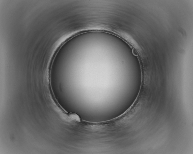 X0000111131380200906301201