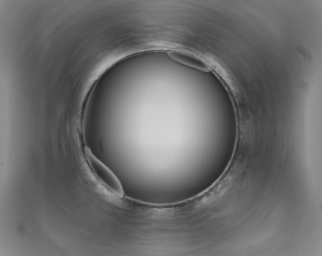 X0000111131381200906301201