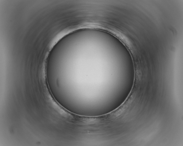 X0000111131382200906301201