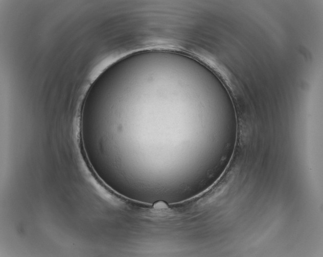 X0000111131383200906301201