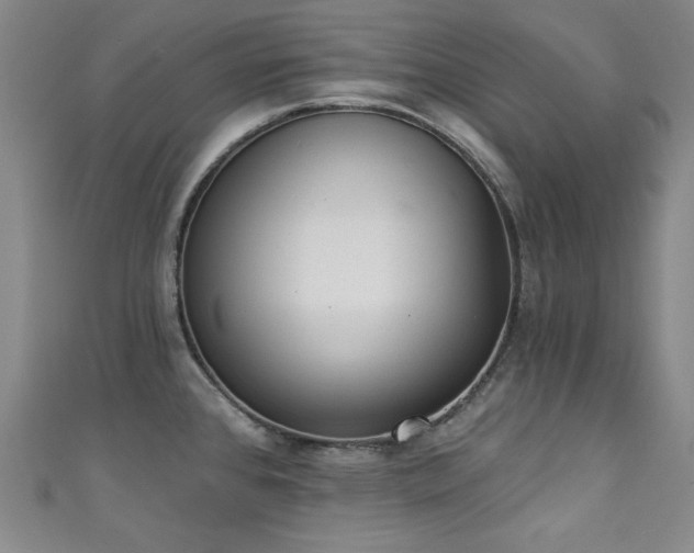 X0000111131384200906301201
