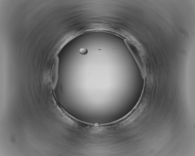 X0000111131385200906301201