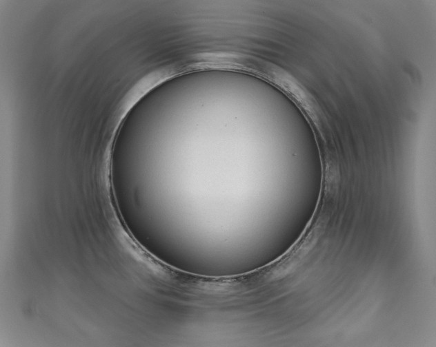 X0000111131386200906301201