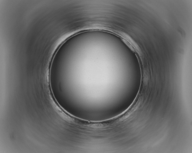 X0000111131388200906301201