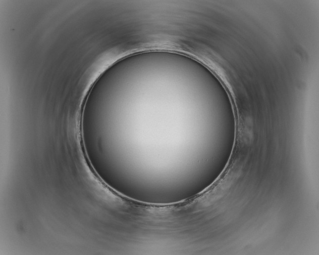 X0000111131389200906301201