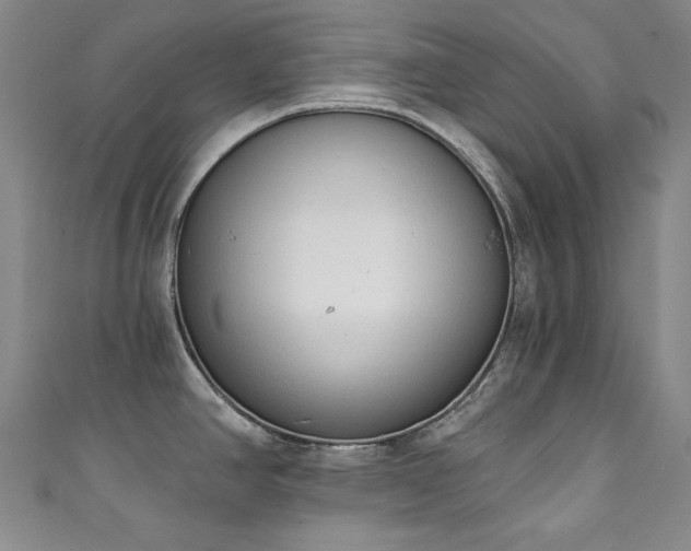 X0000111131390200906301201