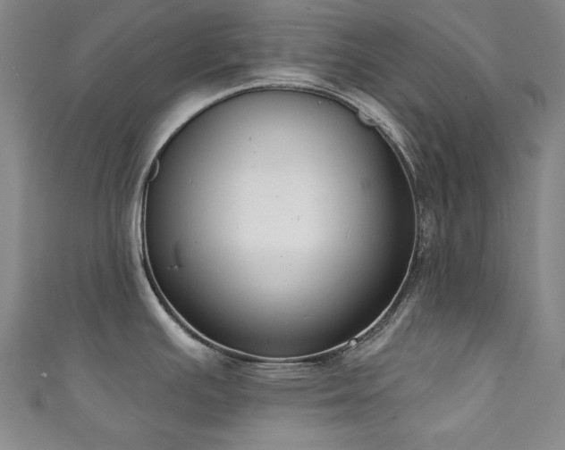 X0000111131391200906301201