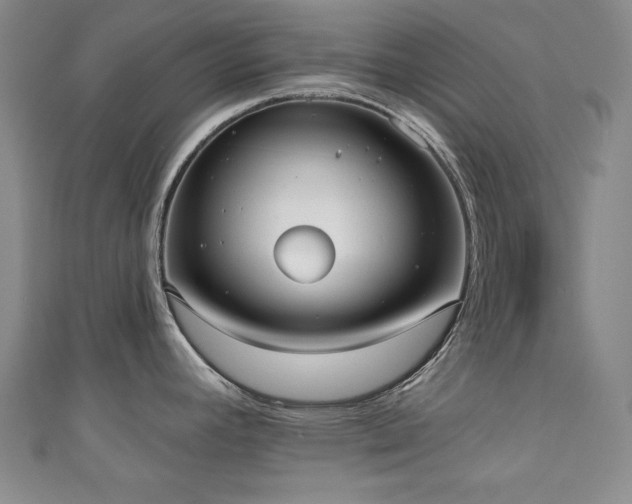 X0000111131392200906301201