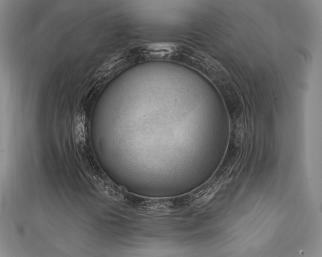 X0000111131394200906301200