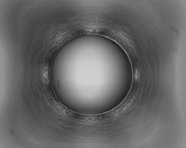 X0000111131396200906301200