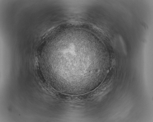 X0000111131397200906301200