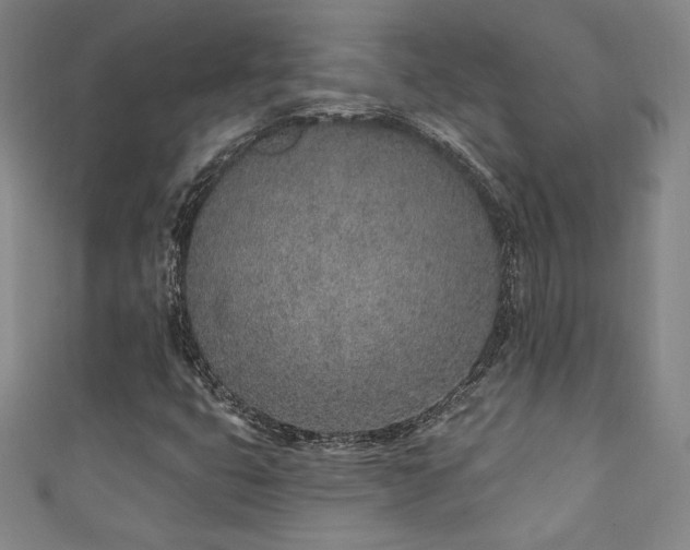 X0000111131399200906301200