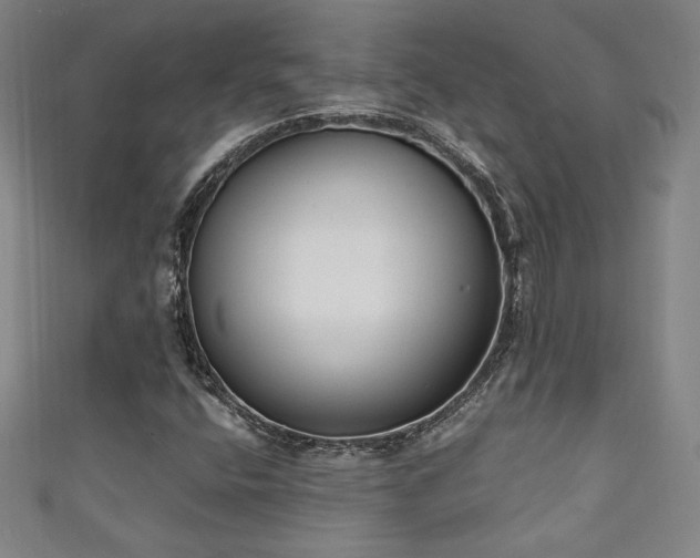 X0000111131400200906301200
