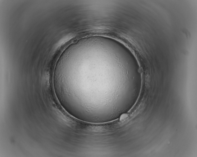 X0000111131402200906301200