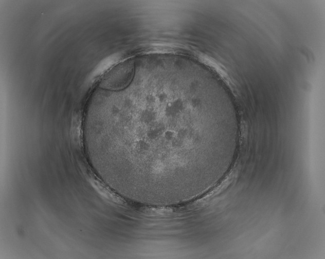 X0000111131403200906301200