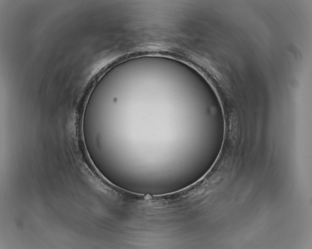 X0000111131404200906301200