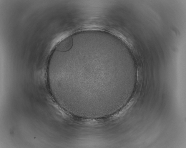 X0000111131405200906301200