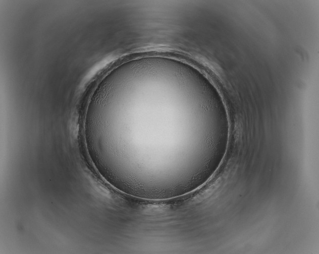X0000111131406200906301200