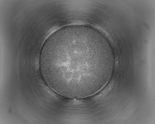 X0000111131409200906301200