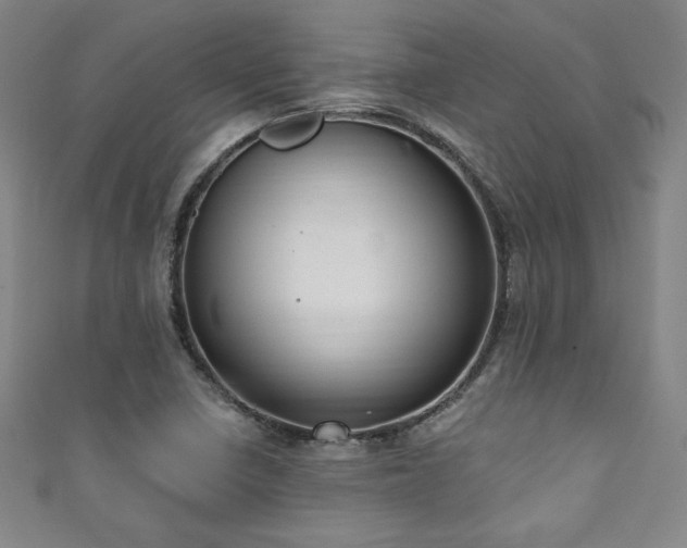 X0000111131410200906301200