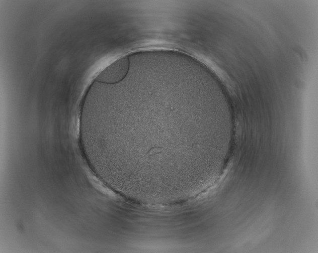 X0000111131413200906301200