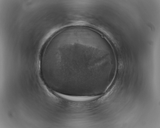 X0000111131414200906301200