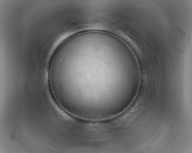 X0000111131416200906301200