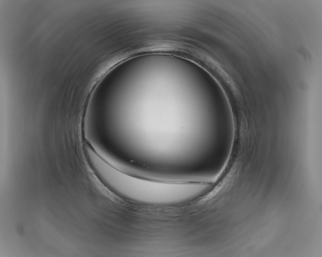 X0000111131417200906301200