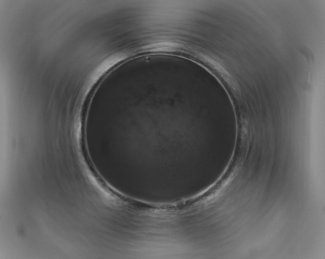 X0000111131418200906301200