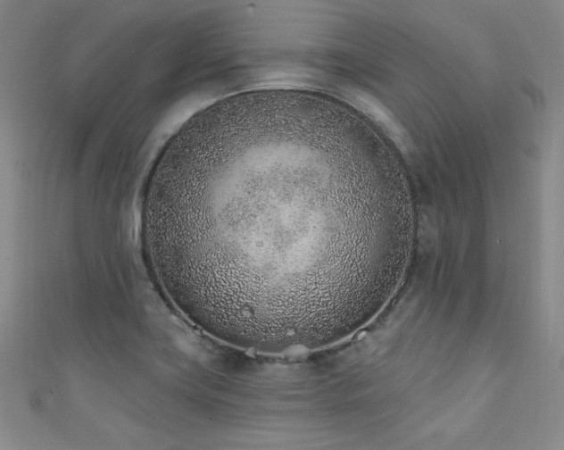 X0000111131419200906301200