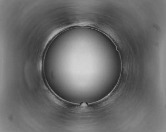 X0000111131420200906301200