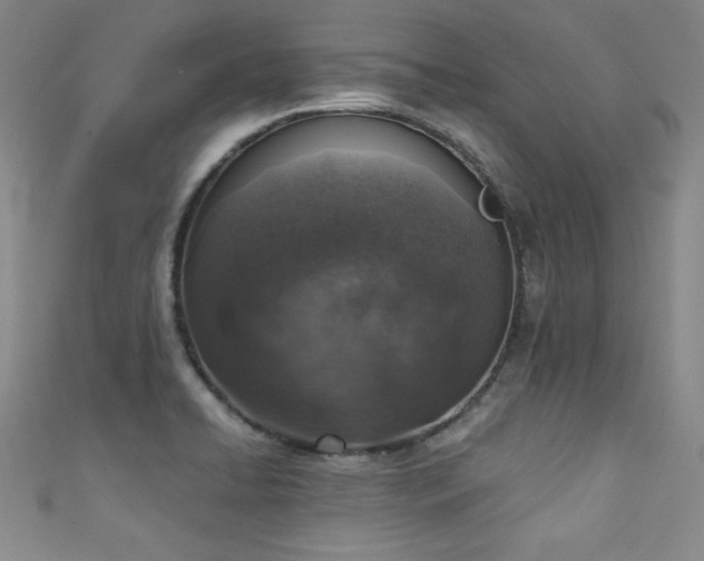 X0000111131422200906301200