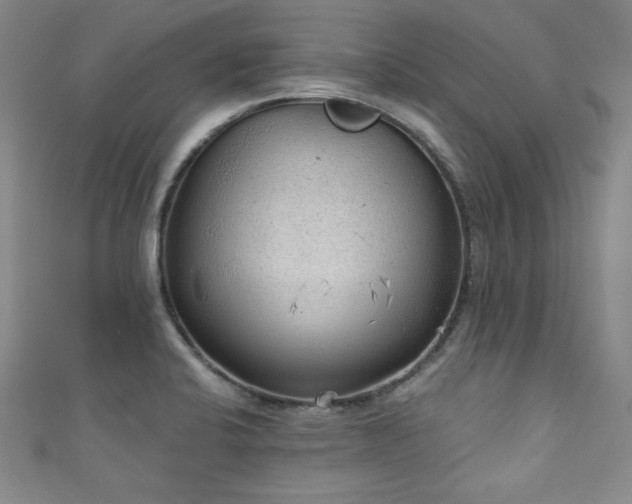 X0000111131424200906301201