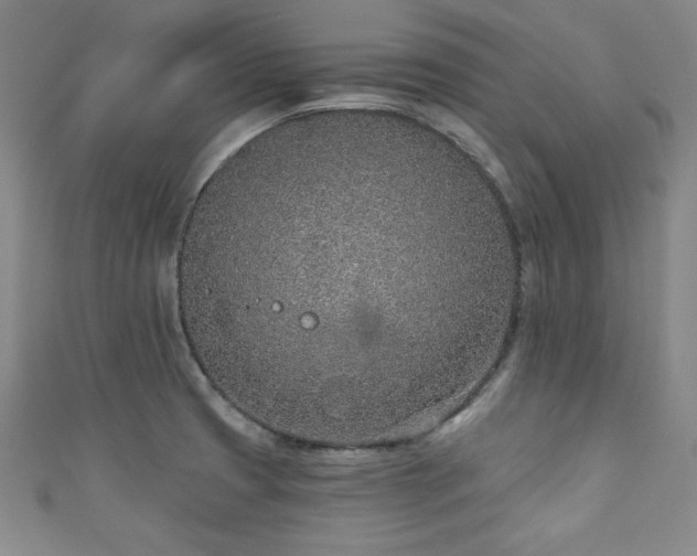 X0000111131425200906301201