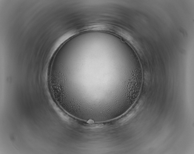 X0000111131426200906301201