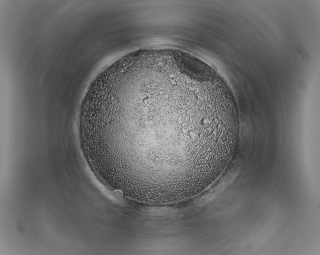 X0000111131429200906301201