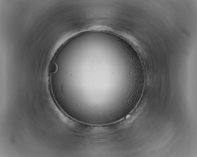 X0000111131430200906301201