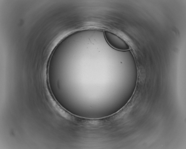 X0000111131431200906301201