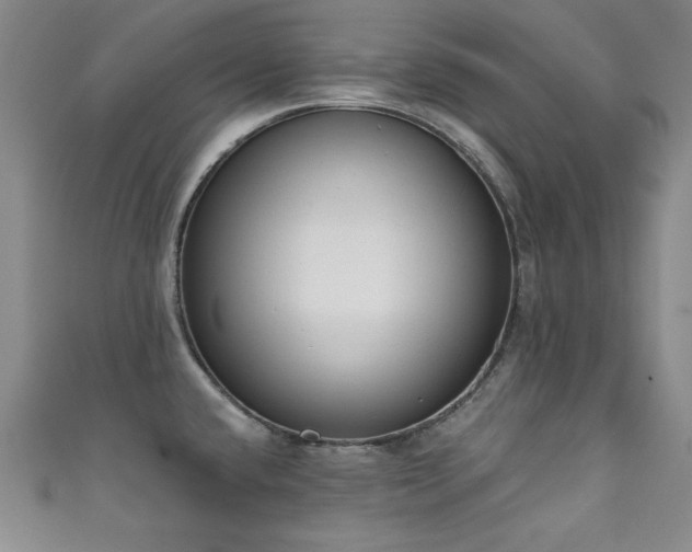 X0000111131432200906301201