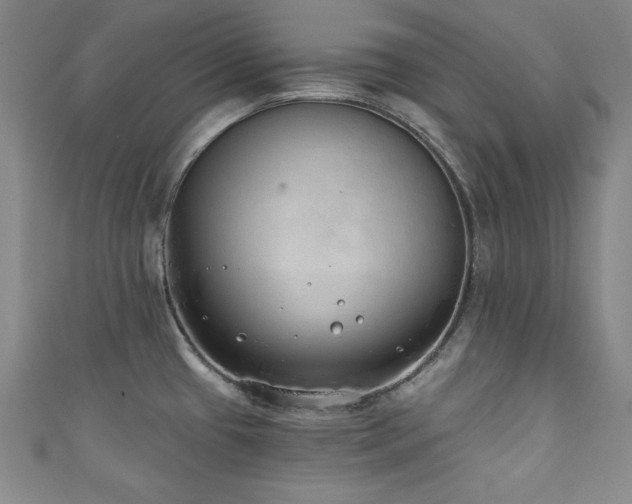 X0000111131433200906301201