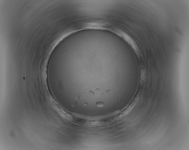 X0000111131435200906301201
