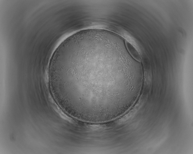 X0000111131436200906301201