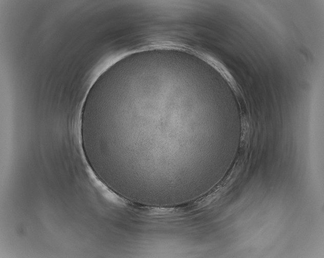 X0000111131439200906301201