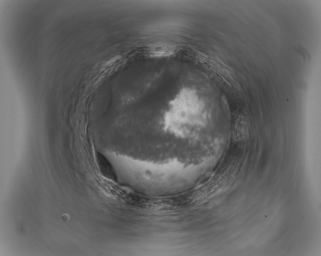 X0000111131441200906301200