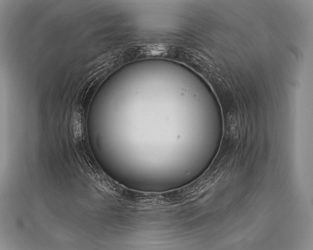 X0000111131442200906301200