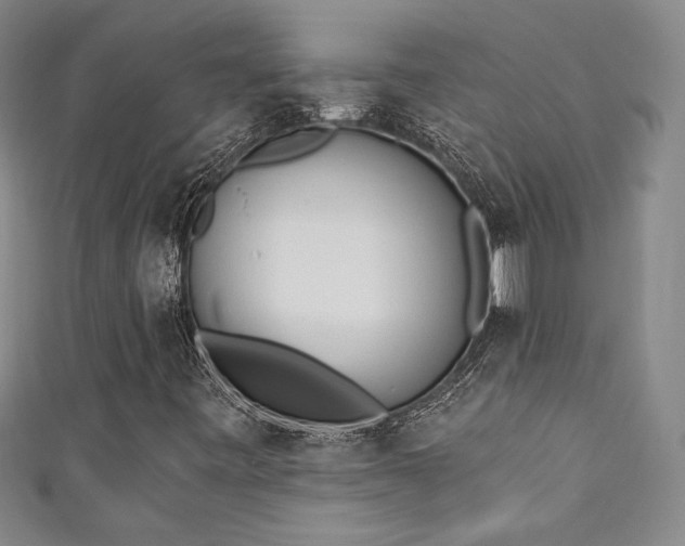 X0000111131443200906301200
