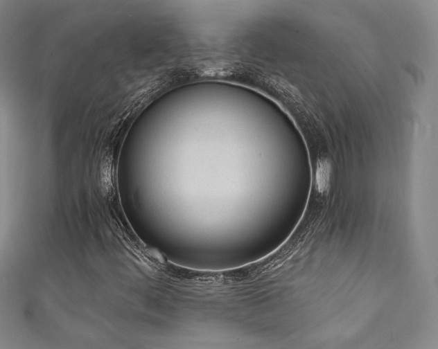 X0000111131444200906301200