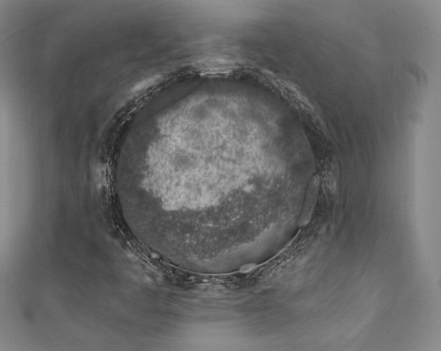 X0000111131445200906301200