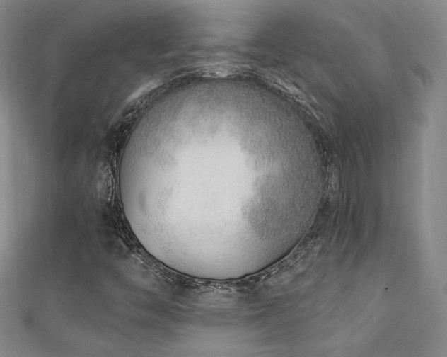 X0000111131446200906301200